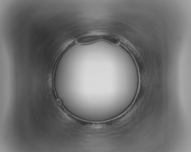 X0000113761177200909230941