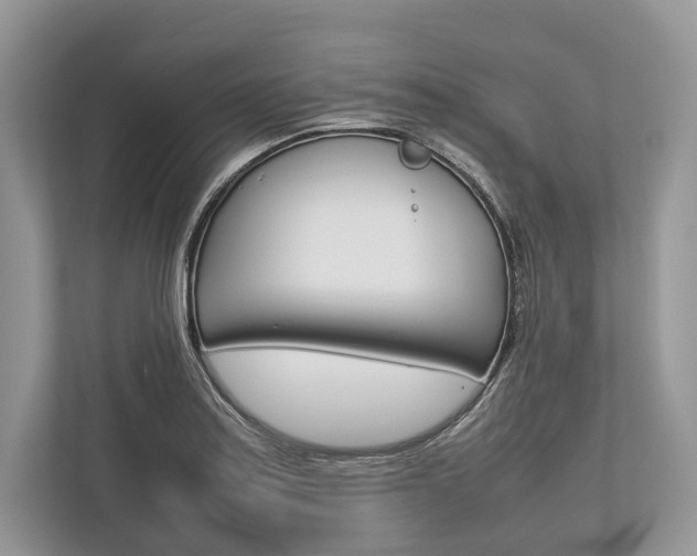 X0000113761179200909230941