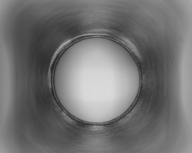 X0000113761180200909230941