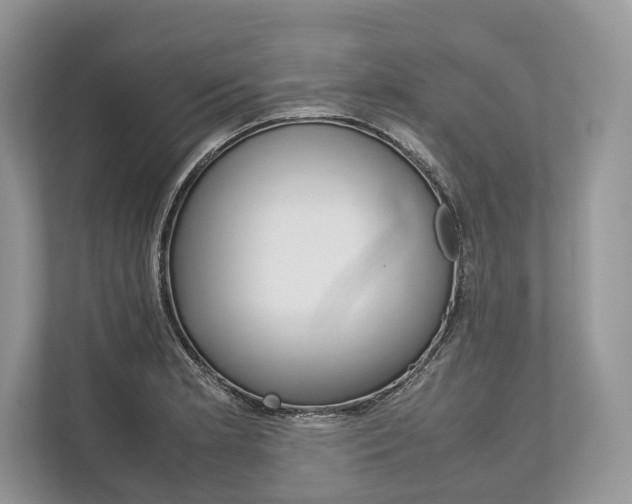 X0000113761181200909230941