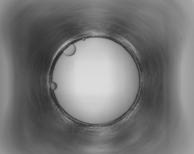 X0000113761182200909230941