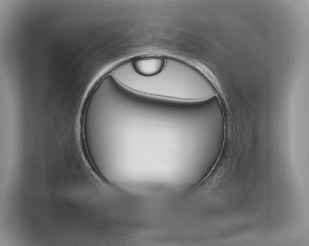 X0000113761183200909230941