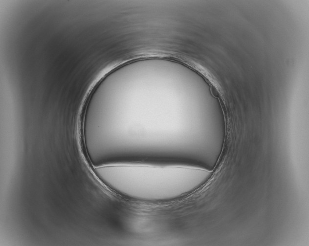 X0000113761187200909230941
