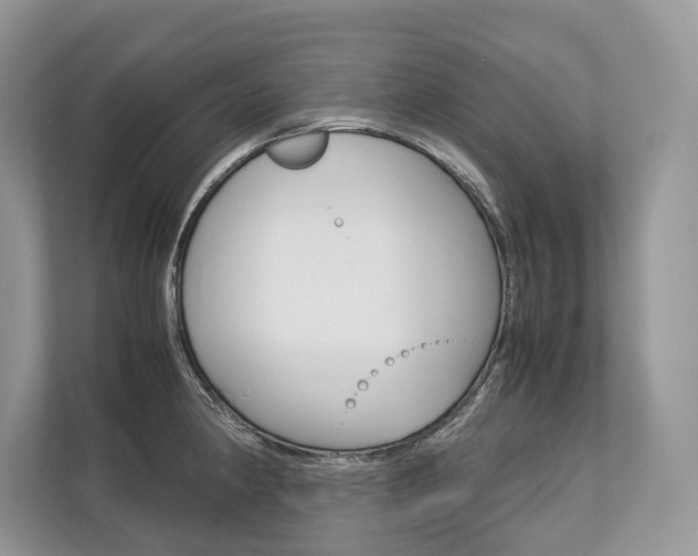 X0000113761190200909230940