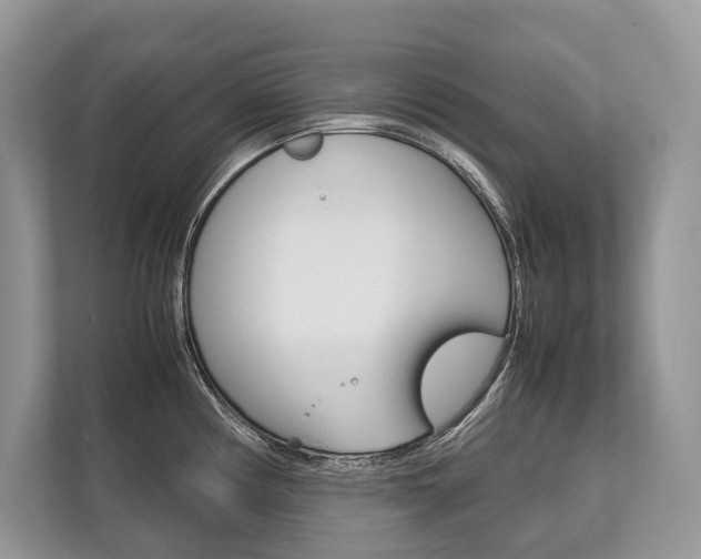 X0000113761194200909230940