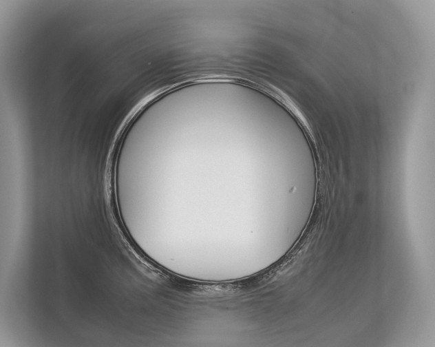 X0000113761195200909230940