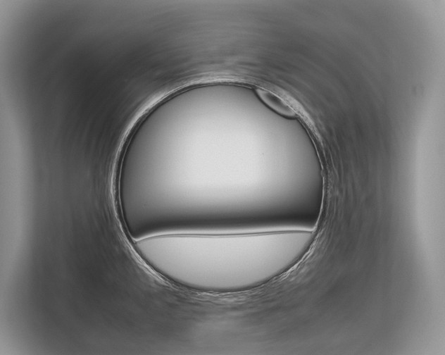 X0000113761197200909230940