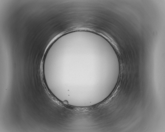 X0000113761198200909230940