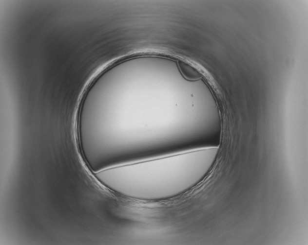 X0000113761199200909230940