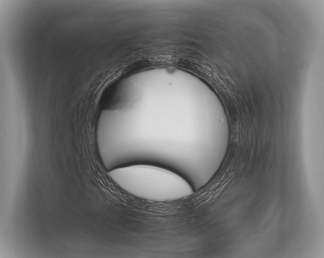 X0000113761201200909230940