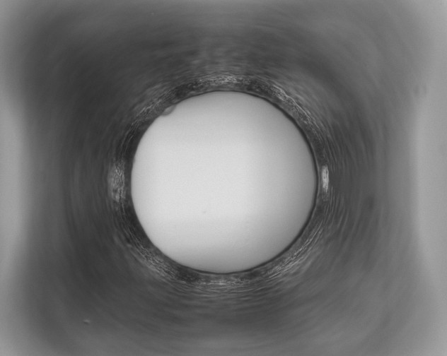 X0000113761203200909230940