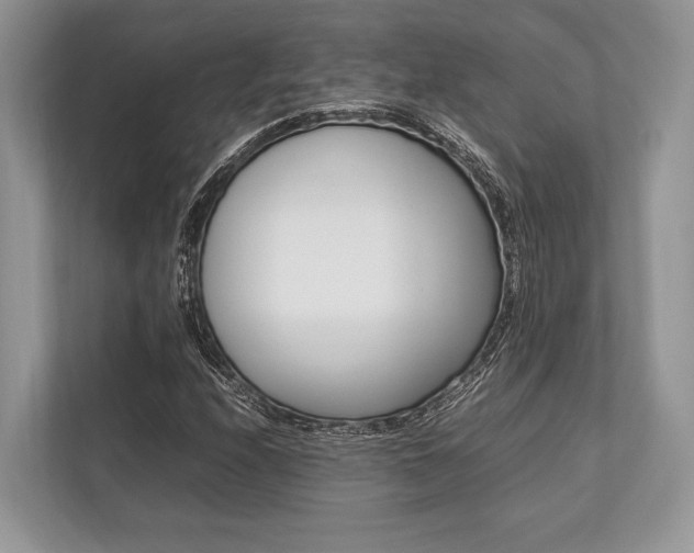 X0000113761208200909230940