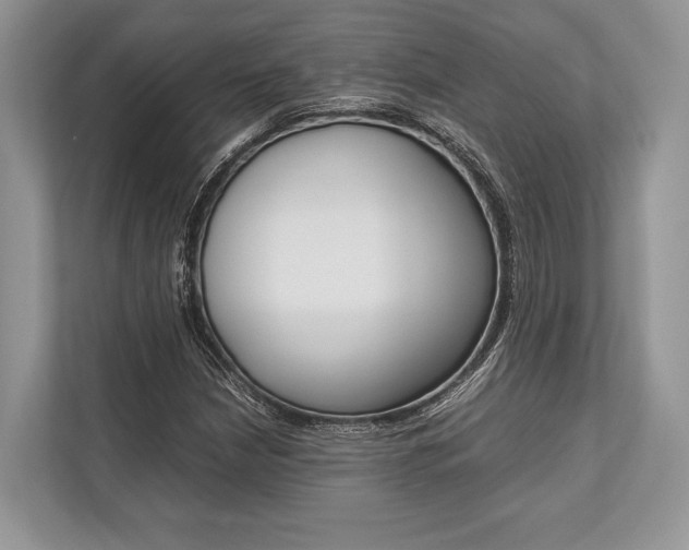 X0000113761210200909230940