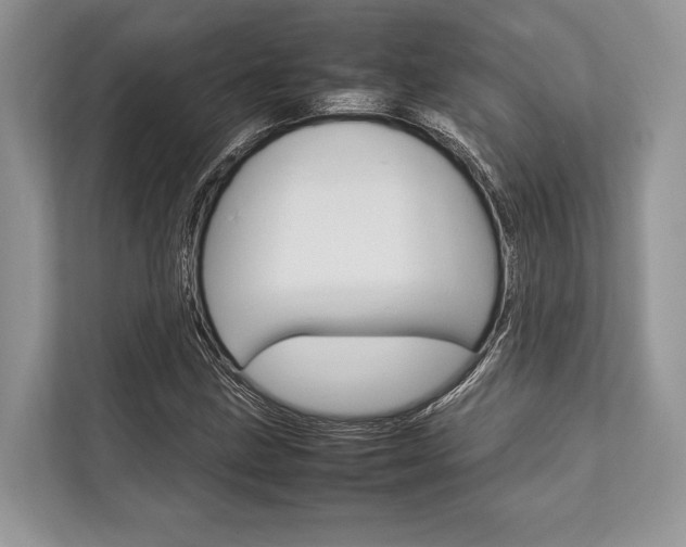 X0000113761211200909230940