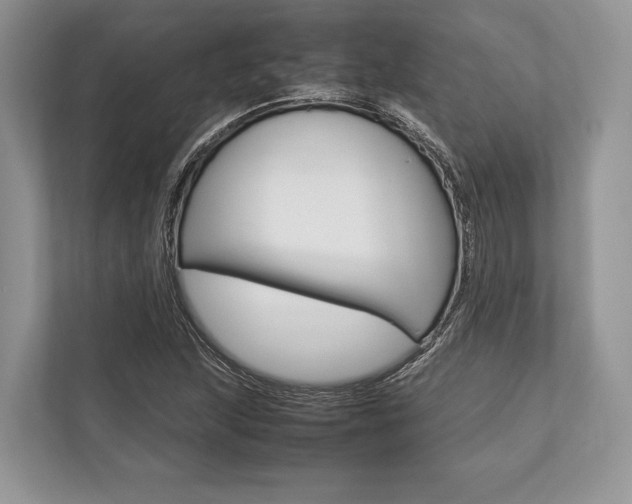 X0000113761215200909230940