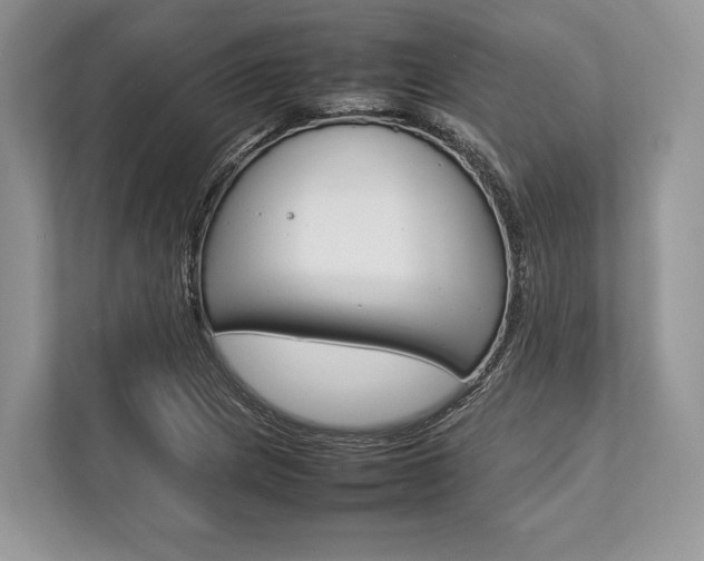 X0000113761217200909230940