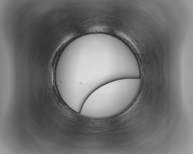X0000113761219200909230940