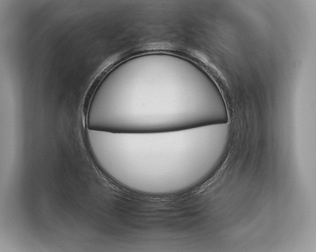 X0000113761221200909230940
