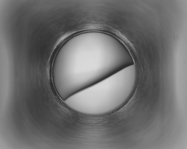 X0000113761222200909230940