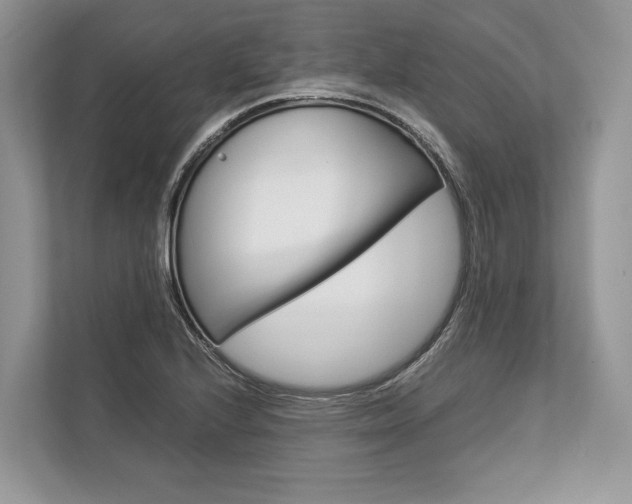 X0000113761224200909230940
