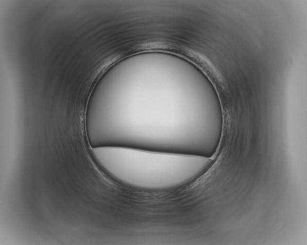 X0000113761225200909230940