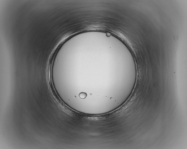 X0000113761227200909230940