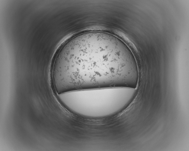 X0000113761229200909230940