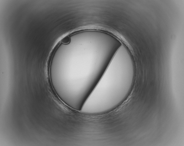 X0000113761230200909230940
