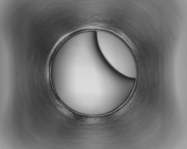 X0000113761232200909230940