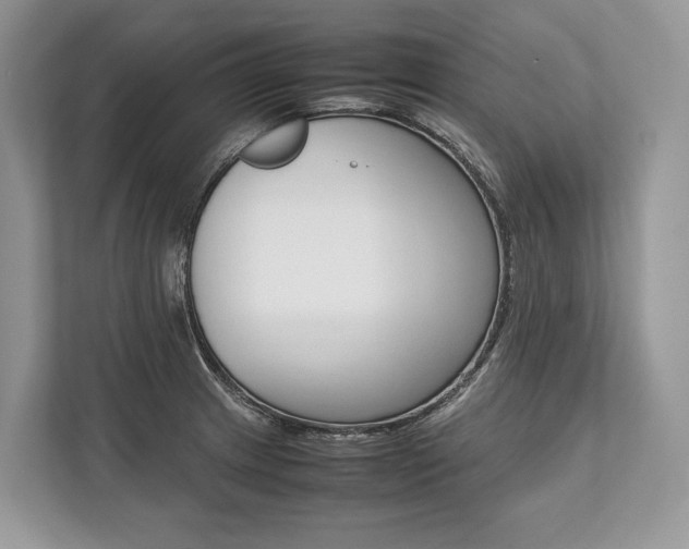 X0000113761233200909230940