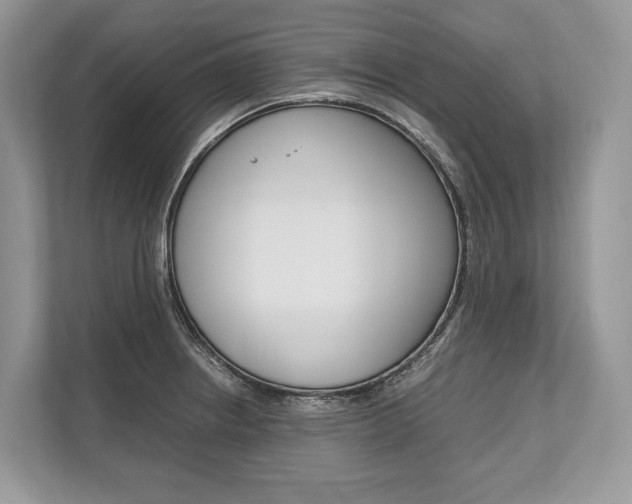 X0000113761234200909230940