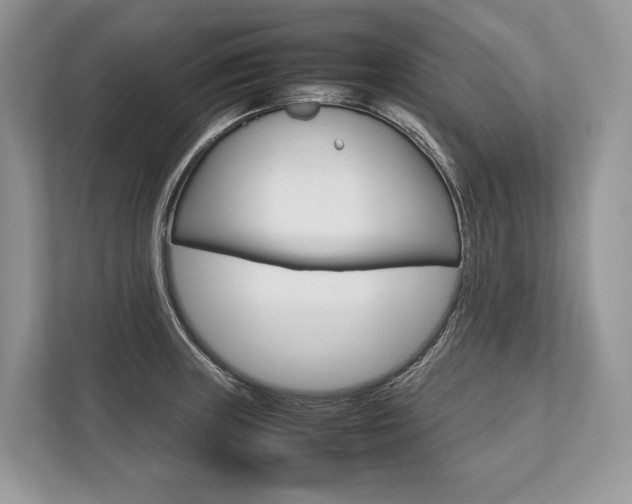 X0000113761235200909230940