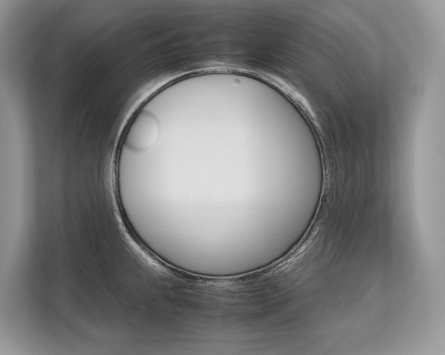 X0000113761239200909230940