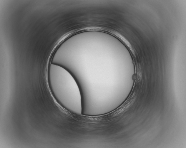 X0000113761245200909230940