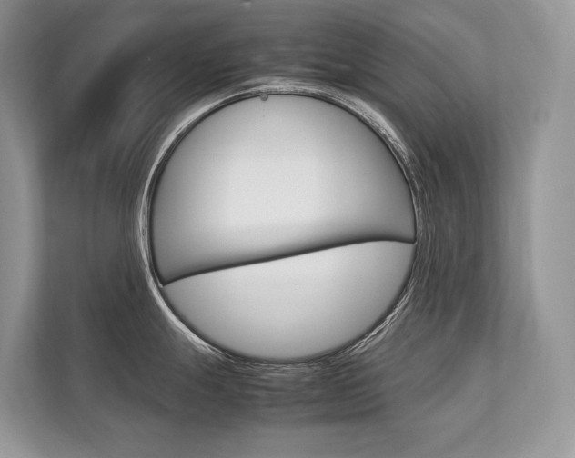X0000113761247200909230940