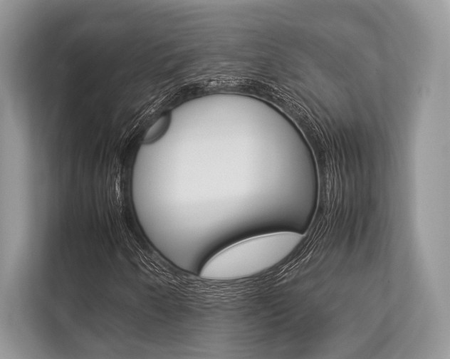 X0000113761250200909230940