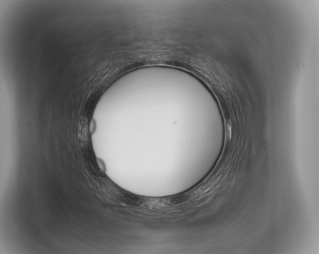 X0000113761251200909230940