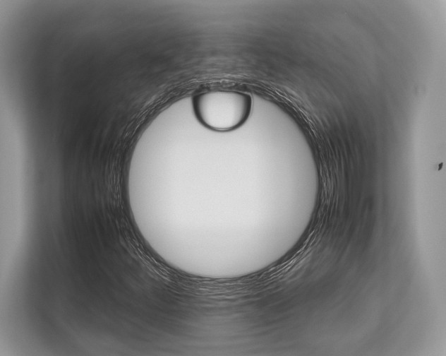 X0000113761252200909230940