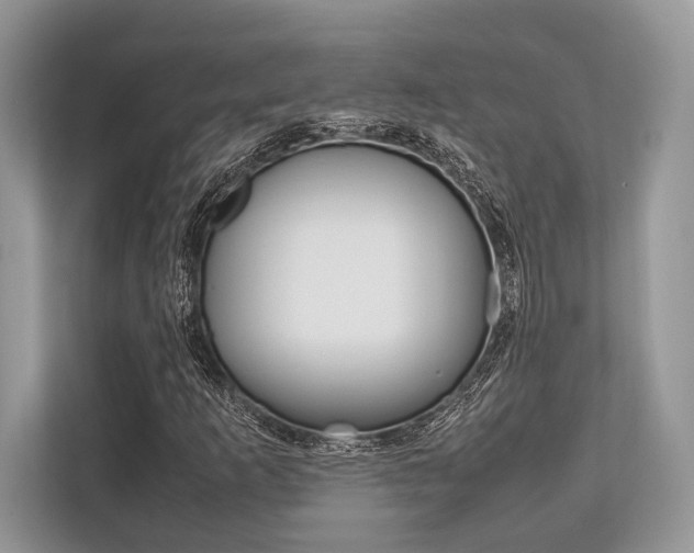 X0000113761253200909230940