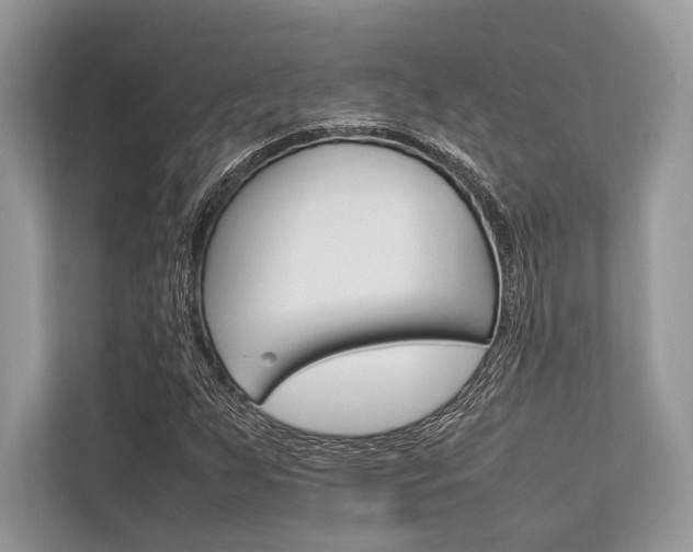 X0000113761255200909230940
