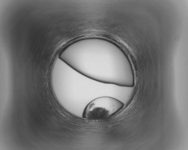 X0000113761259200909230940