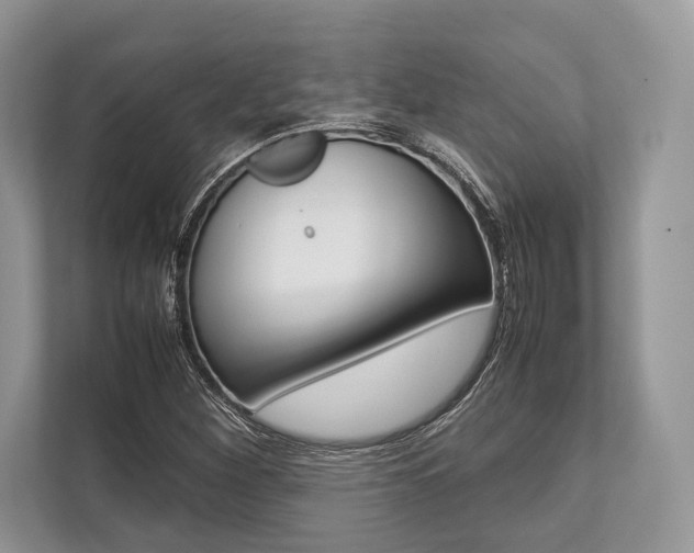 X0000113761260200909230940