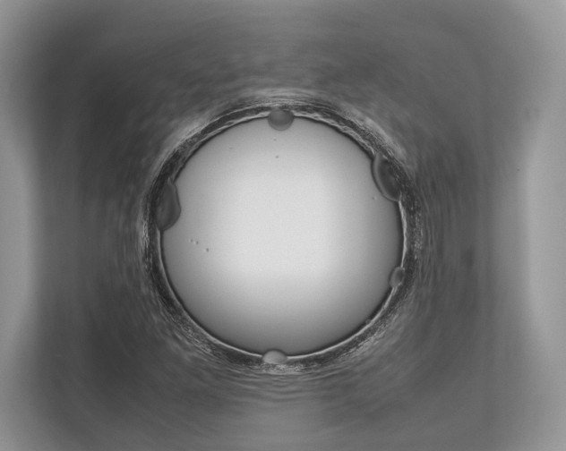 X0000113761261200909230940