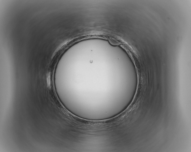 X0000113761262200909230940