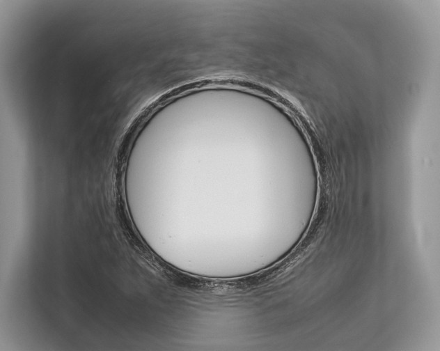 X0000113761263200909230940