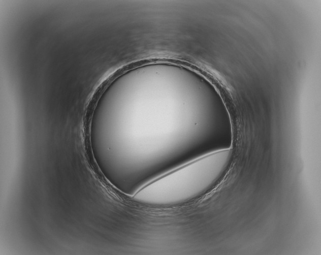 X0000113761264200909230940
