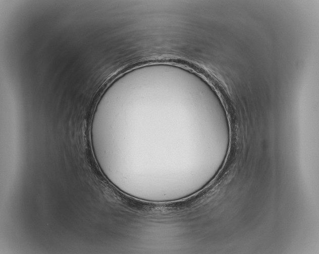X0000113761265200909230940