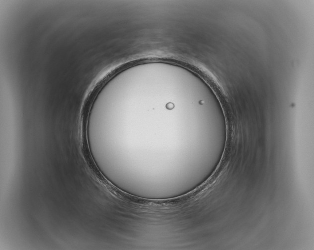X0000113761270200909230939