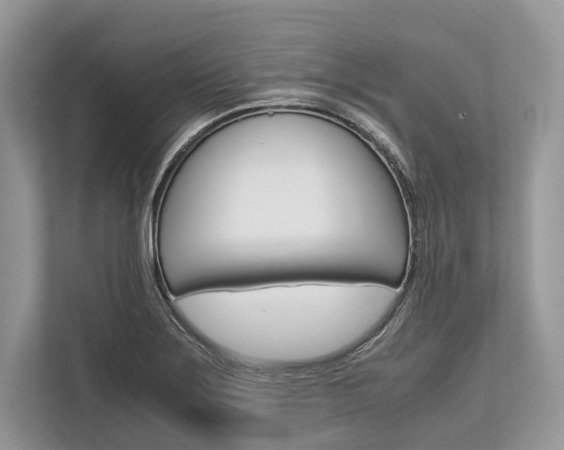 X0000113761275200909230939
