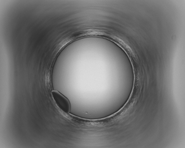 X0000113761281200909230939